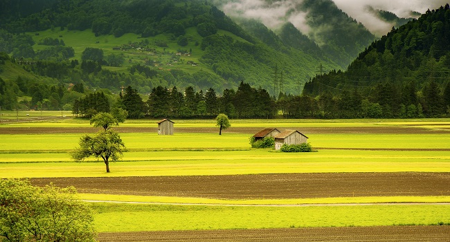 Landscape