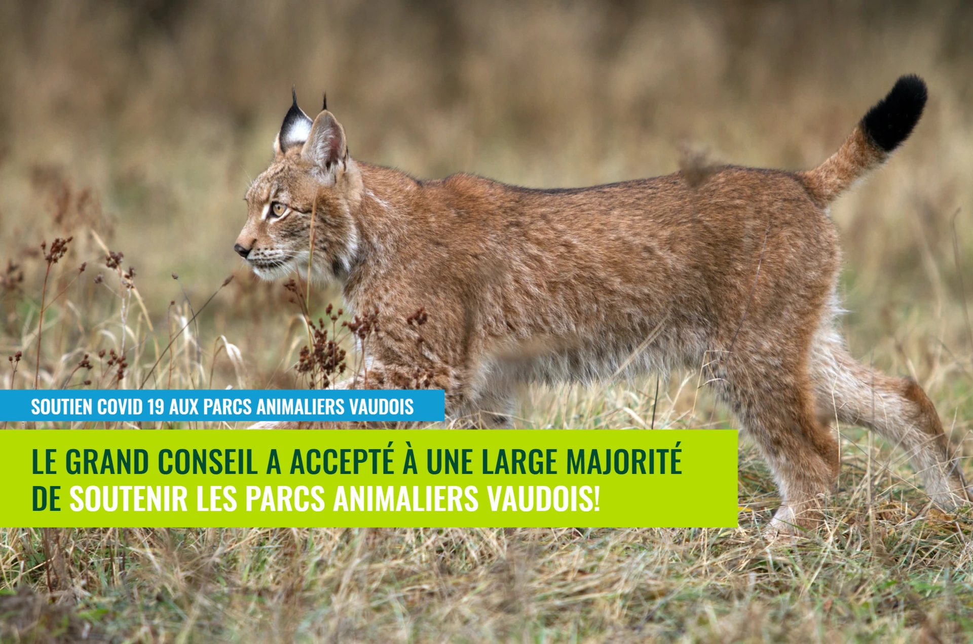 Parcs animaliers